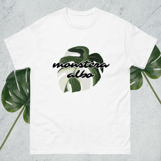 Monstera Albo